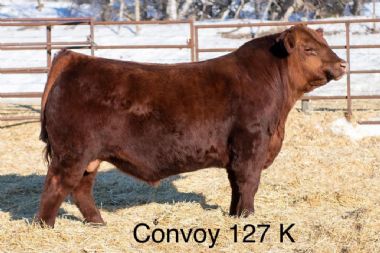 Red Barr Convoy 127K - 